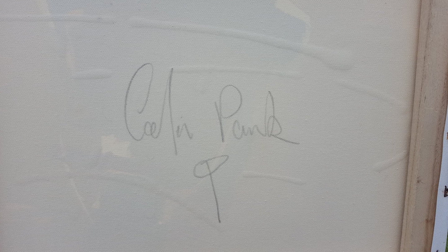 "Colin Park" Acrylic on Canvas, Signed