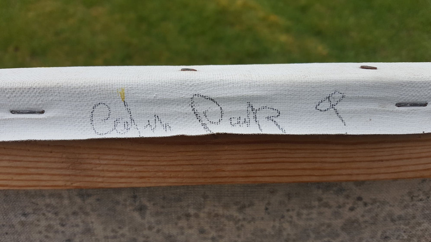 "Colin Park" Acrylic On Canvas, Signed