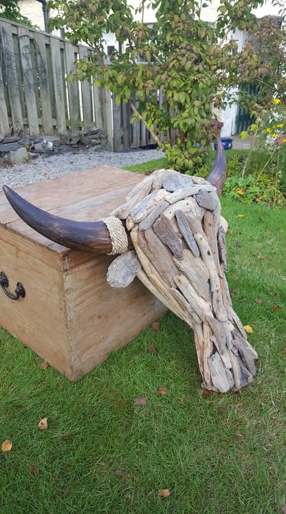 "Drift-Wood" Buffalo Head